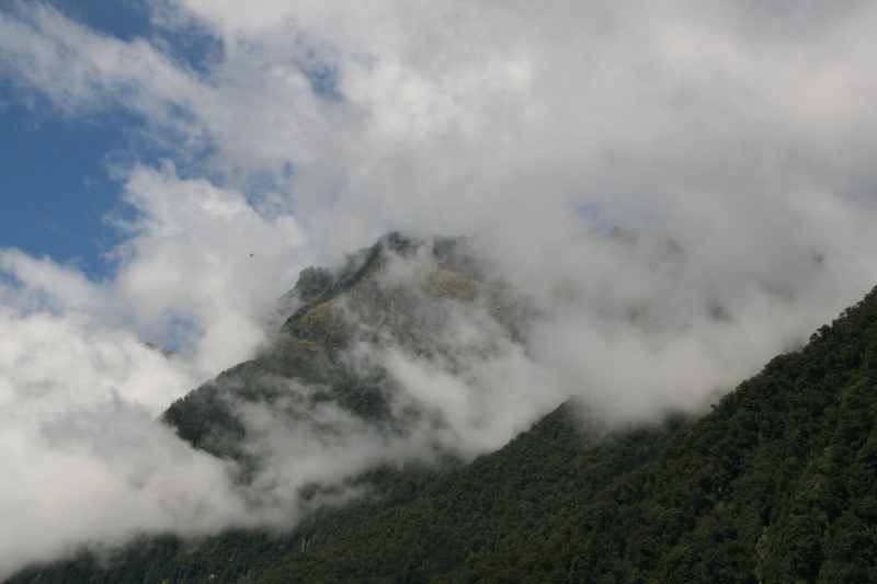 Nieuw-Zeeland 2011 - 1555